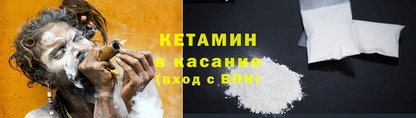 прущие грибы Беломорск