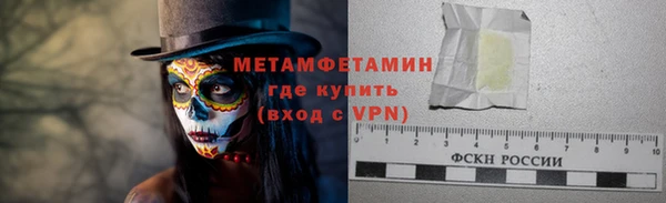 прущие грибы Беломорск
