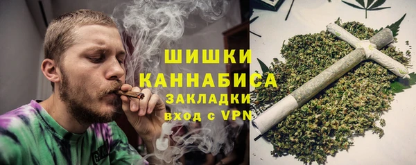 прущие грибы Беломорск