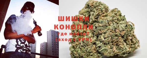 прущие грибы Беломорск