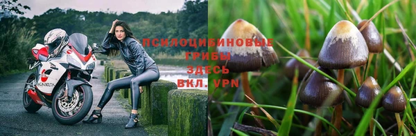 тгк Белокуриха