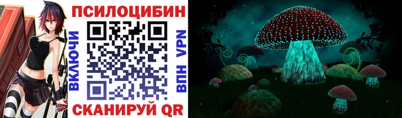 где продают наркотики  Бодайбо  Псилоцибиновые грибы Psilocybe 